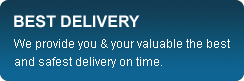 Best Delivery